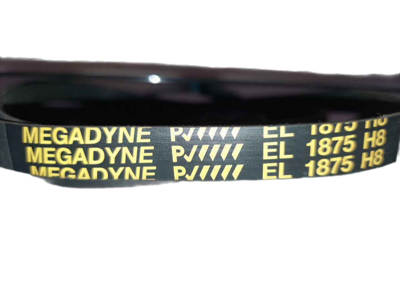 BLH711UN Ремень сушильных машин 1875 H8 EL Megadyne (1810mm) (CANDY 46000003) 2691,BLH711UN,52X1913,