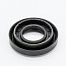 30x52/66 x12/16.5 WT050 SKL Сальник (Electrolux-50680516007), (з.03AT39), ZN1005